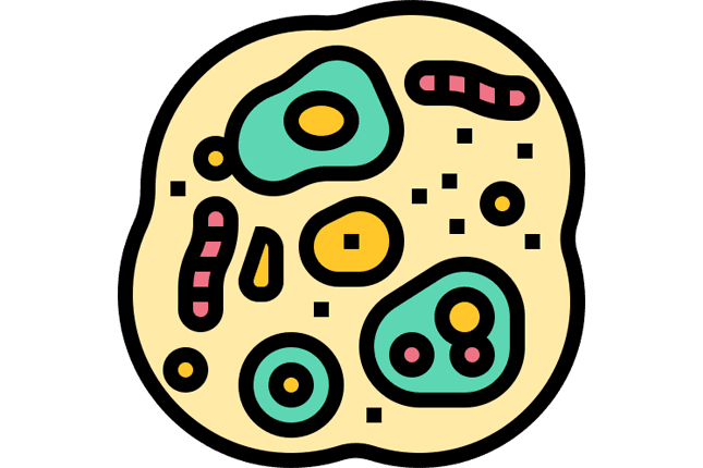 Cell Biology