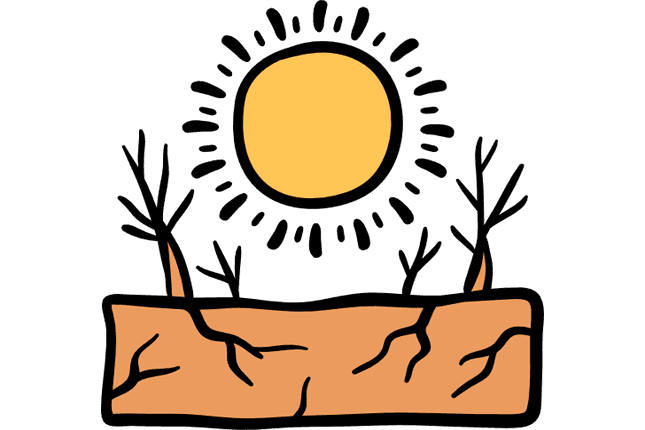 Desertification