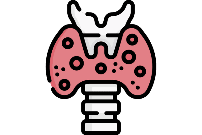 Endocrinology